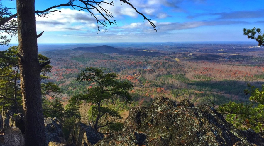 A Surprising View On Crowders Mountain